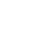 OpenVINO AI Tools